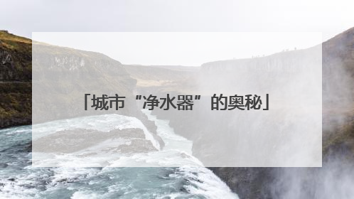 城市“净水器”的奥秘