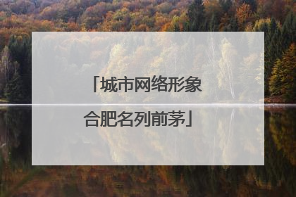城市网络形象合肥名列前茅