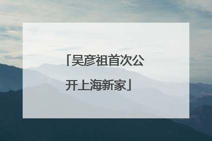 吴彦祖首次公开上海新家