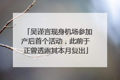 吴谨言现身机场参加产后首个活动，此前于正曾透露其本月复出