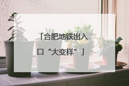 合肥地铁出入口“大变样”