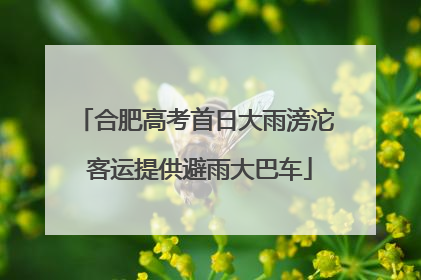 合肥高考首日大雨滂沱 客运提供避雨大巴车