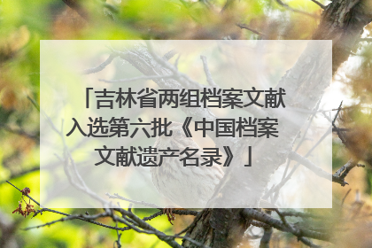 吉林省两组档案文献入选第六批《中国档案文献遗产名录》