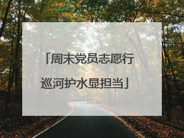 周末党员志愿行 巡河护水显担当