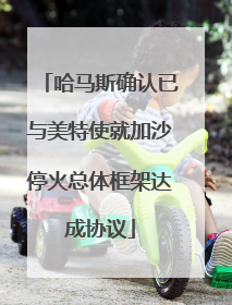 哈马斯确认已与美特使就加沙停火总体框架达成协议
