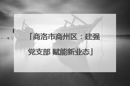 商洛市商州区：建强党支部 赋能新业态