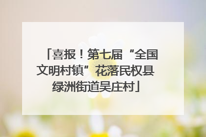 喜报！第七届“全国文明村镇”花落民权县绿洲街道吴庄村