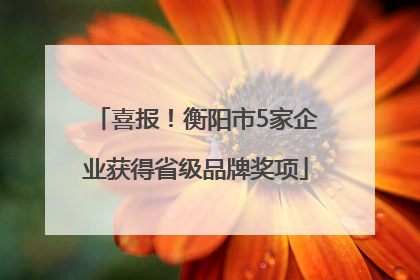 喜报！衡阳市5家企业获得省级品牌奖项