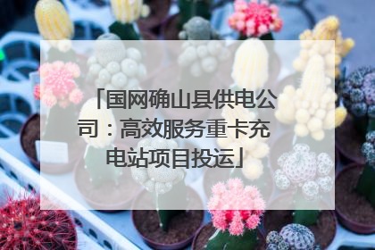 国网确山县供电公司：高效服务重卡充电站项目投运
