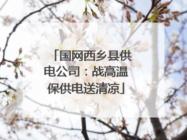 国网西乡县供电公司：战高温保供电送清凉
