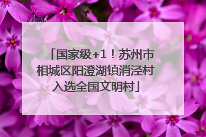 国家级+1！苏州市相城区阳澄湖镇消泾村入选全国文明村
