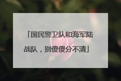 国民警卫队和海军陆战队，别傻傻分不清