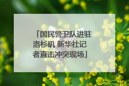 国民警卫队进驻洛杉矶 新华社记者直击冲突现场