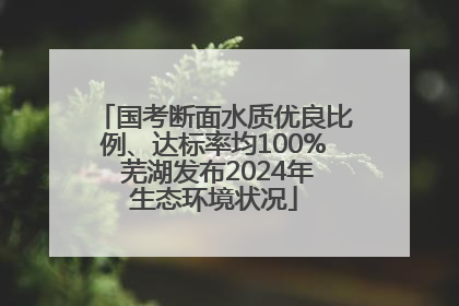 国考断面水质优良比例、达标率均100% 芜湖发布2024年生态环境状况
