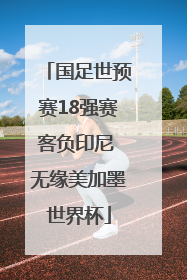 国足世预赛18强赛客负印尼 无缘美加墨世界杯