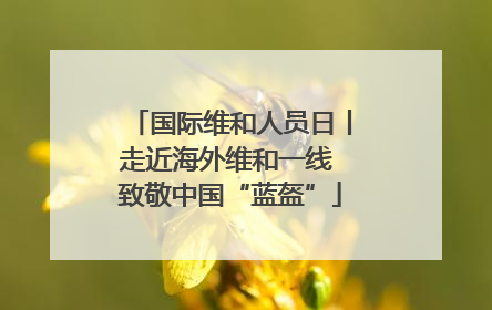 国际维和人员日丨走近海外维和一线 致敬中国“蓝盔”