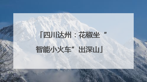 四川达州：花椒坐“智能小火车”出深山