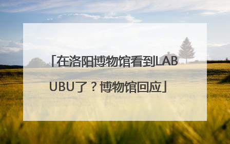 在洛阳博物馆看到LABUBU了？博物馆回应