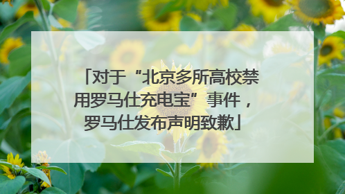对于“北京多所高校禁用罗马仕充电宝”事件，罗马仕发布声明致歉