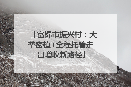 富锦市振兴村：大垄密植+全程托管走出增收新路径