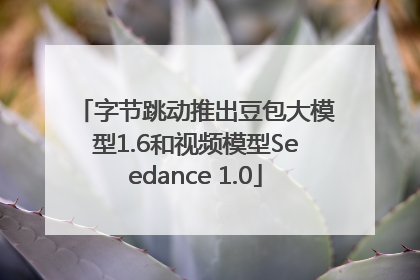 字节跳动推出豆包大模型1.6和视频模型Seedance 1.0