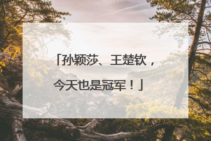 孙颖莎、王楚钦，今天也是冠军！