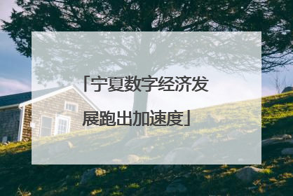 宁夏数字经济发展跑出加速度