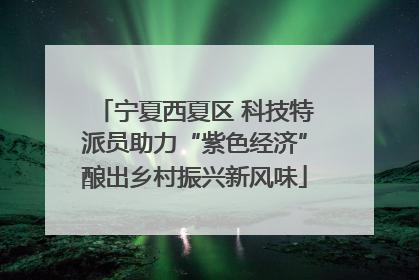 宁夏西夏区 科技特派员助力“紫色经济”酿出乡村振兴新风味