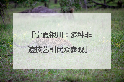 宁夏银川：多种非遗技艺引民众参观