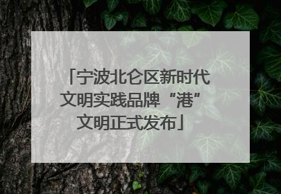 宁波北仑区新时代文明实践品牌“港”文明正式发布