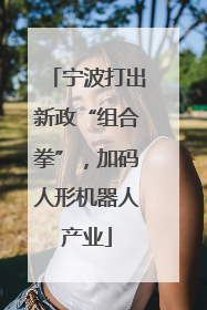 宁波打出新政“组合拳”，加码人形机器人产业