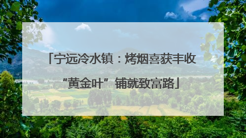 宁远冷水镇：烤烟喜获丰收 “黄金叶”铺就致富路