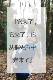 它来了，它来了，它从催更声中走来了