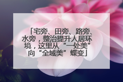 宅旁、田旁、路旁、水旁，整治提升人居环境，这里从“一处美”向“全域美”蝶变