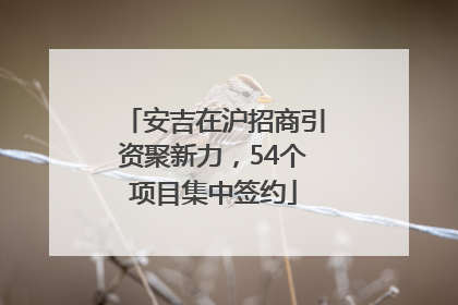 安吉在沪招商引资聚新力，54个项目集中签约