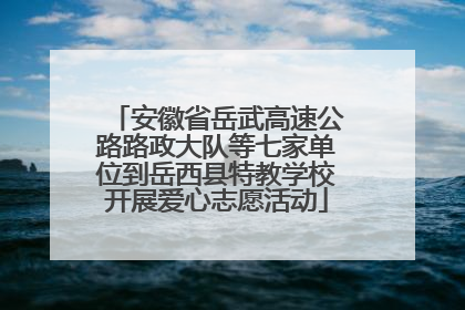 安徽省岳武高速公路路政大队等七家单位到岳西县特教学校开展爱心志愿活动