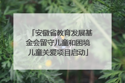 安徽省教育发展基金会留守儿童和困境儿童关爱项目启动