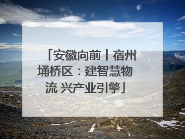 安徽向前丨宿州埇桥区：建智慧物流 兴产业引擎