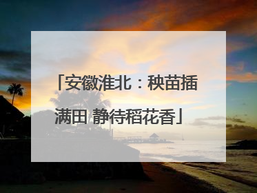 安徽淮北：秧苗插满田 静待稻花香