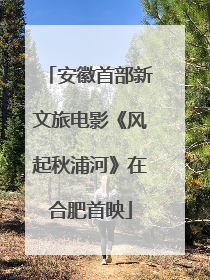 安徽首部新文旅电影《风起秋浦河》在合肥首映