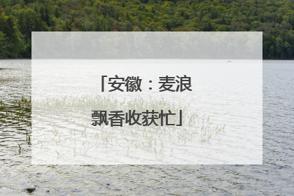 安徽：麦浪飘香收获忙