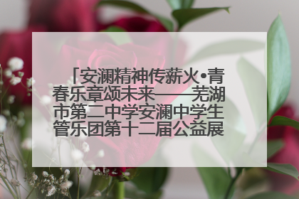 安澜精神传薪火•青春乐章颂未来——芜湖市第二中学安澜中学生管乐团第十二届公益展演圆满举行