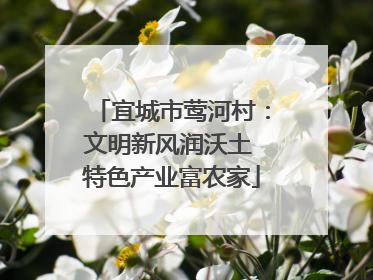 宜城市莺河村：文明新风润沃土 特色产业富农家