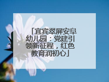 宜宾翠屏安阜幼儿园：党建引领新征程，红色教育润初心