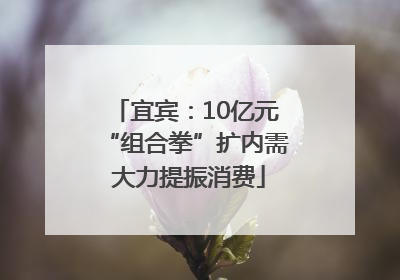 宜宾：10亿元“组合拳”扩内需 大力提振消费