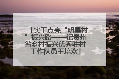 实干点亮“明星村”振兴路——记贵州省乡村振兴优秀驻村工作队员王培欢