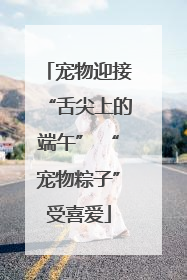 宠物迎接“舌尖上的端午” “宠物粽子”受喜爱