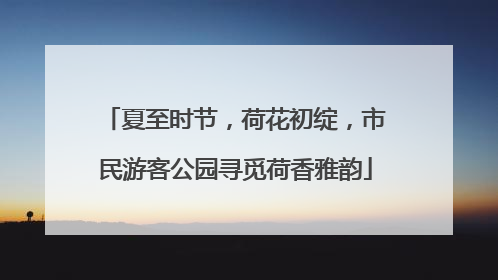 夏至时节，荷花初绽，市民游客公园寻觅荷香雅韵