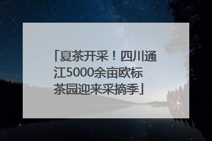 夏茶开采！四川通江5000余亩欧标茶园迎来采摘季