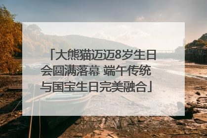 大熊猫迈迈8岁生日会圆满落幕 端午传统与国宝生日完美融合